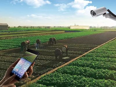 華安迪夢(mèng)溫泉康養(yǎng)小鎮(zhèn) 融合“吃住玩游樂購(gòu)”與溫泉技術(shù)研發(fā)的理想目的地